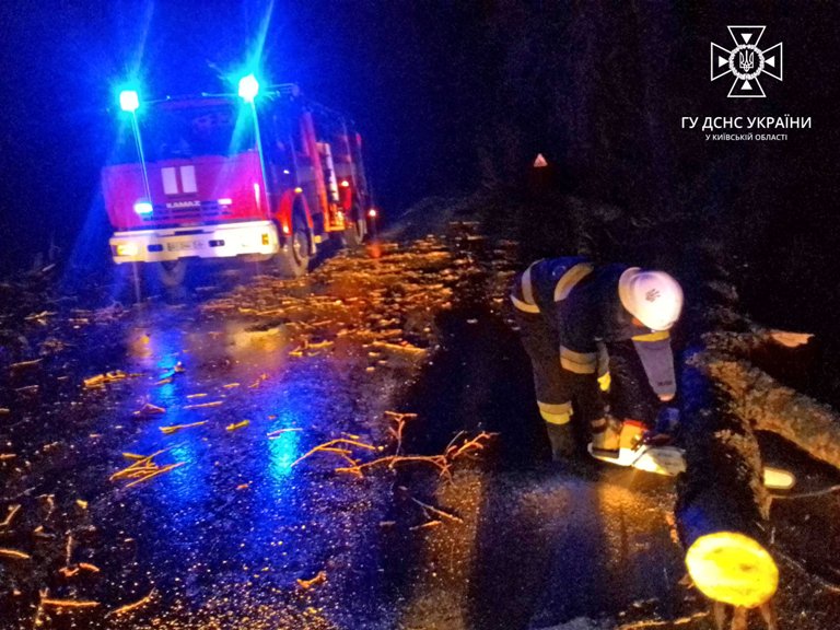 Трассу под Киевом перекрыло рухнувшее дерево