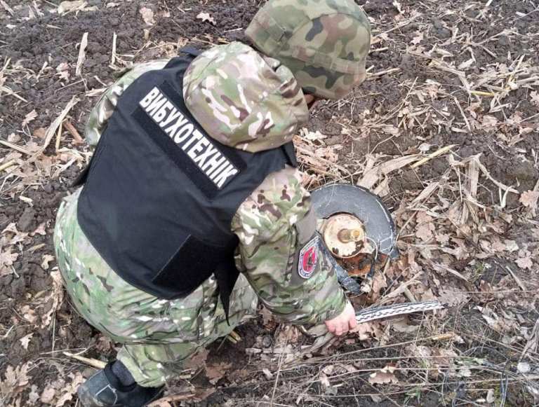 В Киевской области уничтожили обломки вражеского беспилотника