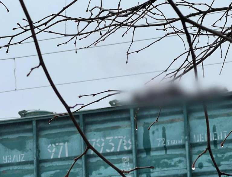 Заліз на дах поїзда: у передмісті Києва підліток помер від удару струмом