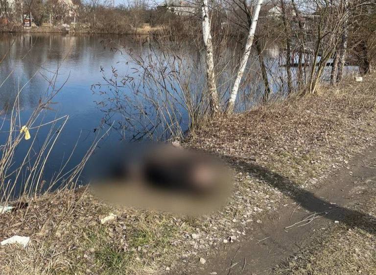 Избили и связанным бросили в озеро: под Киевом утопили мужчину