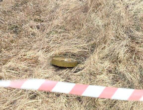 В поле возле Гостомеля нашли противотанковую мину