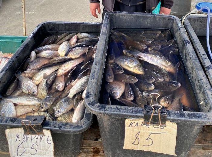 В Киеве у уличных торговцев изъяли 200 килограмм рыбы