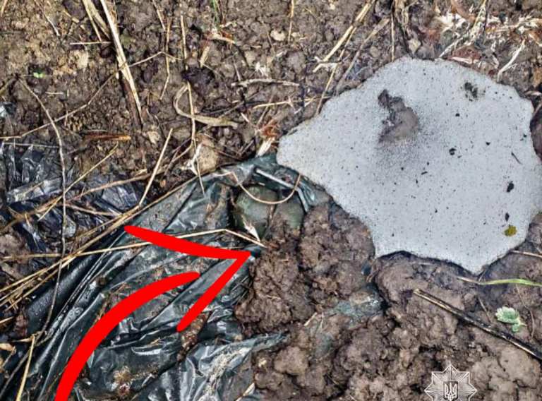 На узбіччі дороги під Києвом знайшли гранату