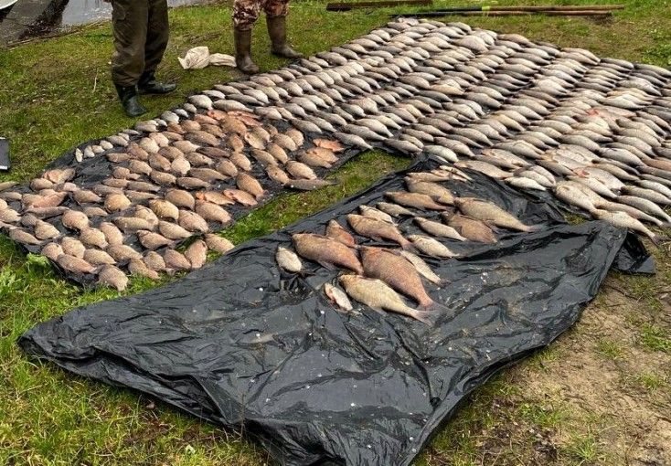 Под Киевом браконьер наловил рыбы на полмиллиона гривен