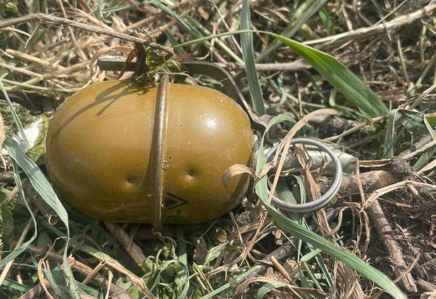 Житель Киевской области косил траву и нашел гранату (фото)