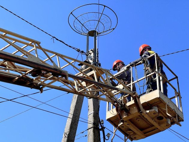 У Києві енергетики облаштували гніздо для лелек на електроопорі (фото)