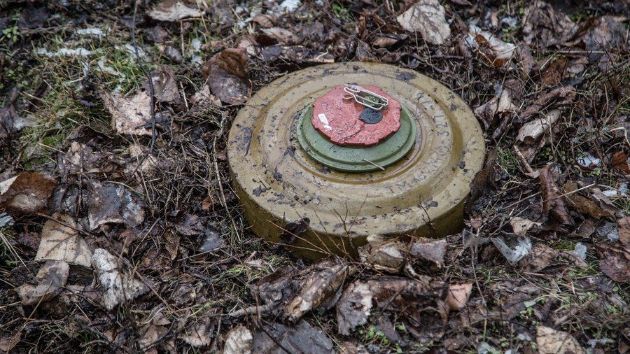 В Киевской области нашли мину