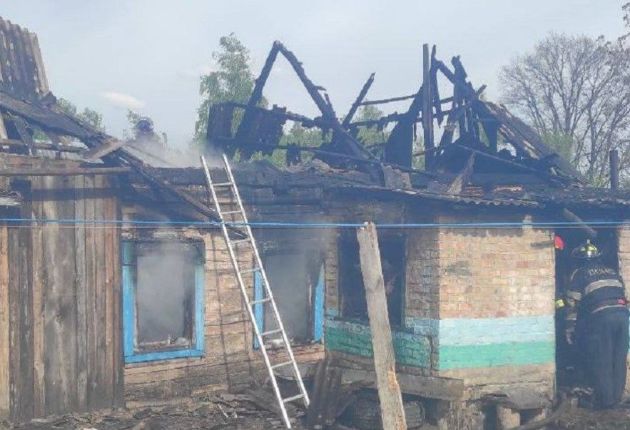 У Київській області на пожежі загинула маленька дівчинка