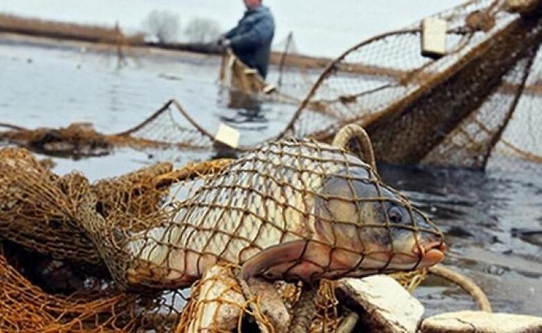 В мае на Киевщине рыбоохранный патруль зафиксировал 77 нарушений