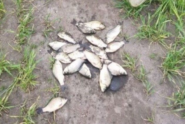 В Бориспольском районе обнаружили незаконный вылов рыбы сетями с лодки