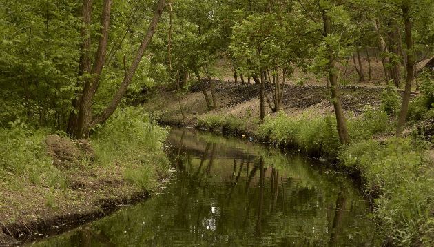 У Києві очистили забруднені ділянки річок Либідь і Почайна