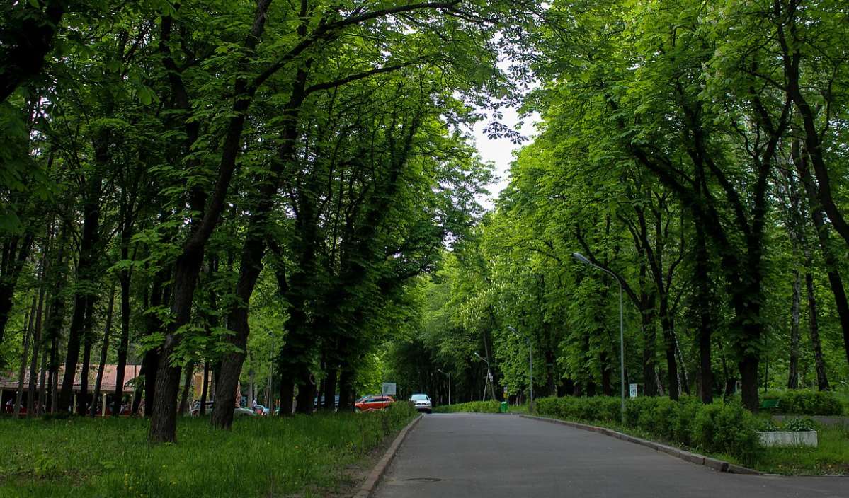 Киевсовет переименовал парк имени Пушкина в честь украинского писателя