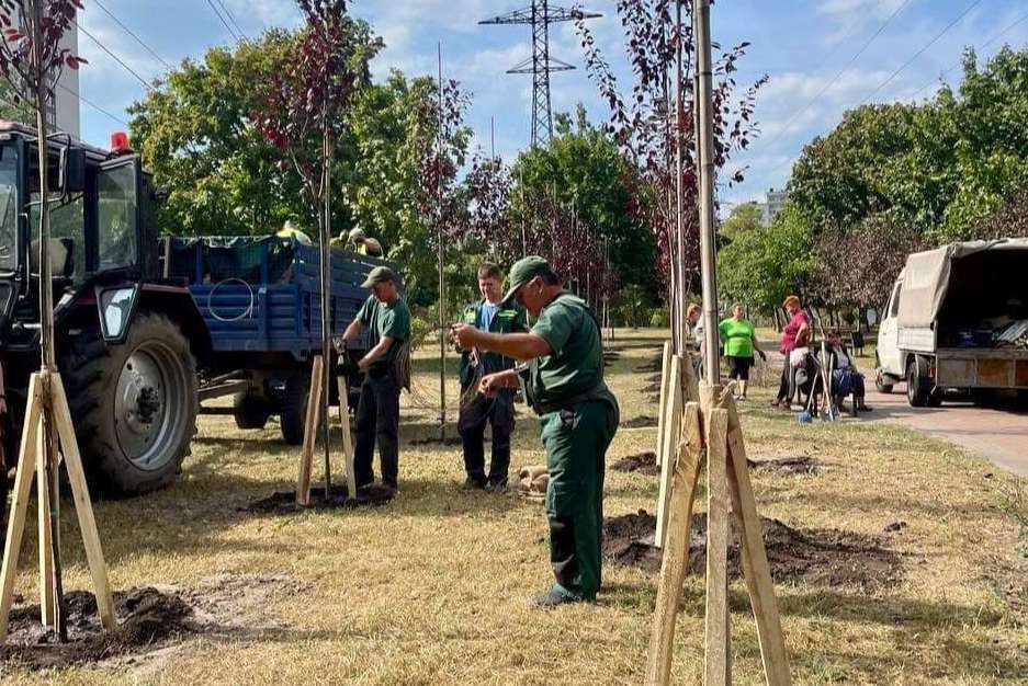 У столичному сквері Подільського району висадили молоді саджанці