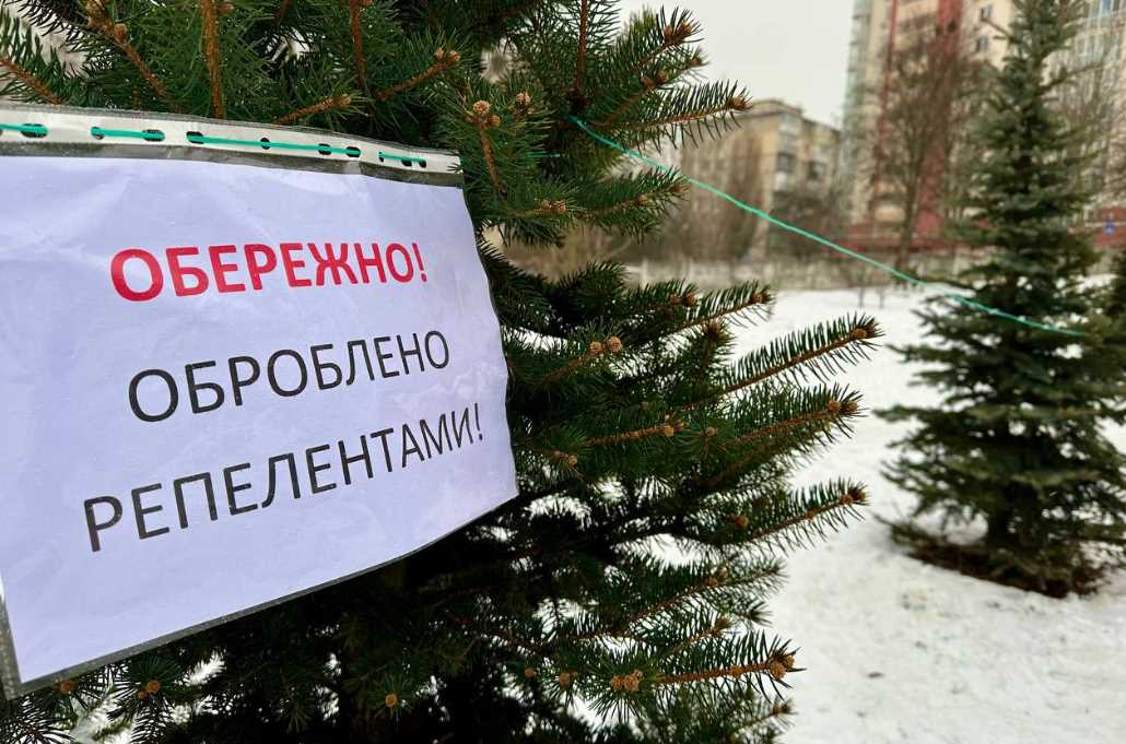 В Киеве стартовала предновогодняя кампания по предотвращению самовольных вырубок хвойных деревьев