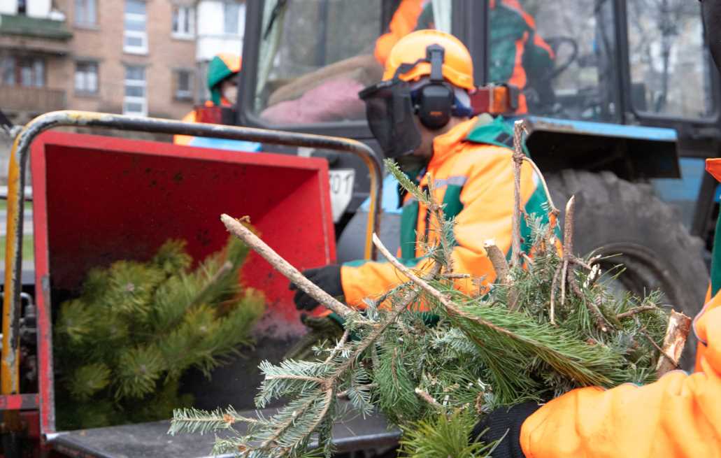 В этом году Киев расширил количество пунктов приема новогодних елок для экологической утилизации до 44