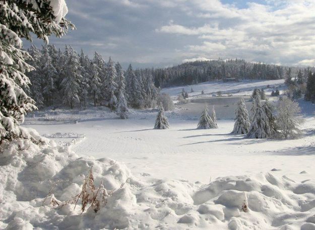 Йшов у кросівках у 20-градусний мороз: у Карпатах спіймали ухилянта з Київської області