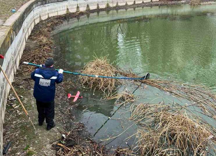В озере на Виноградаре гибнет рыба