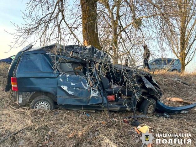 В Киевской области водитель погиб, врезавшись в дерево (фото)
