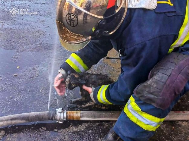 Надышались угарным газом: под Киевом из горящей квартиры спасли двух детей и кота