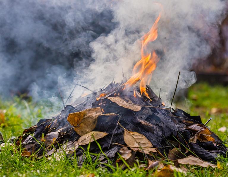 Киевлянам грозят штрафами за сжигание листвы