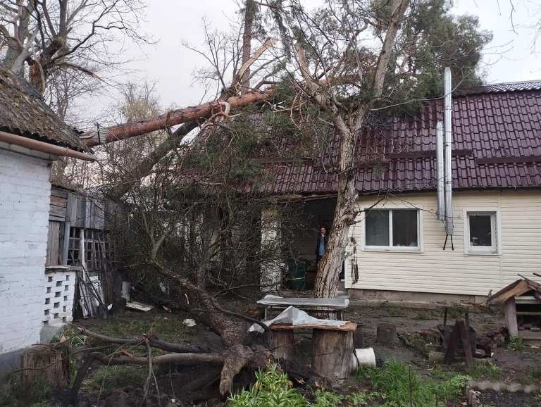 У Київській області негода повалила дерева і зруйнувала дахи