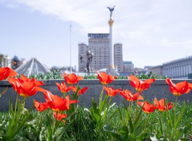 В Киеве зацвели первые тюльпаны: список локаций