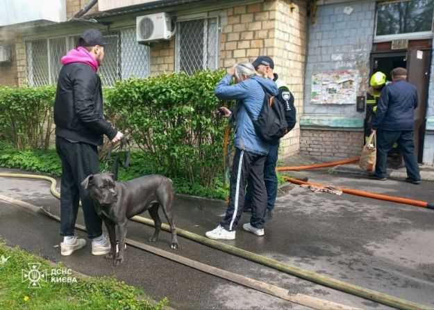 Із палаючої квартири в Києві врятували тварин (відео)
