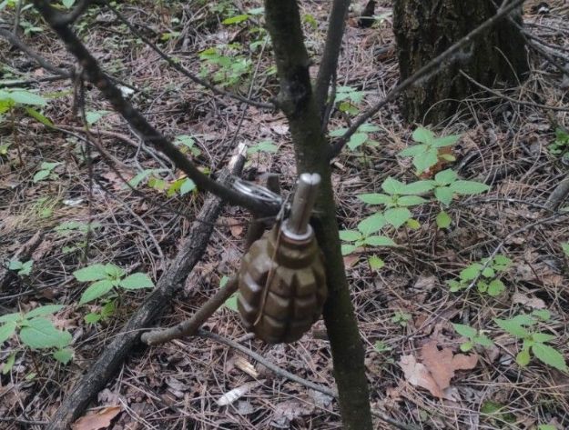 В лесу на Киевщине нашли российскую гранату на растяжке
