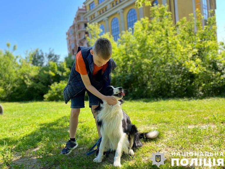 У Києві відкрився гурток «Юний кінолог»