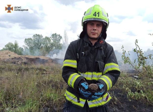 З палаючої купи сміття на Київщині врятували їжачка