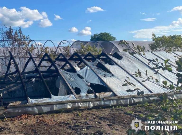 На Київщині спалахнула равликова ферма