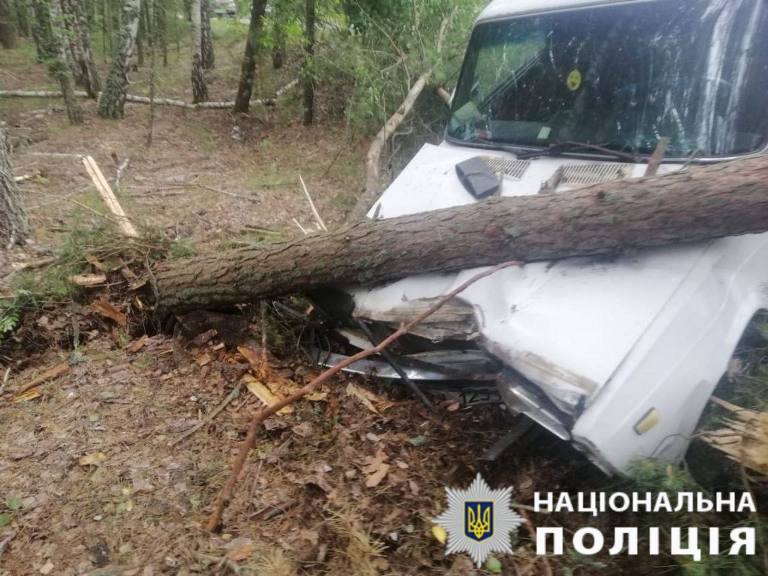 На Киевщине сильно пьяный водитель разбил машину о дерево