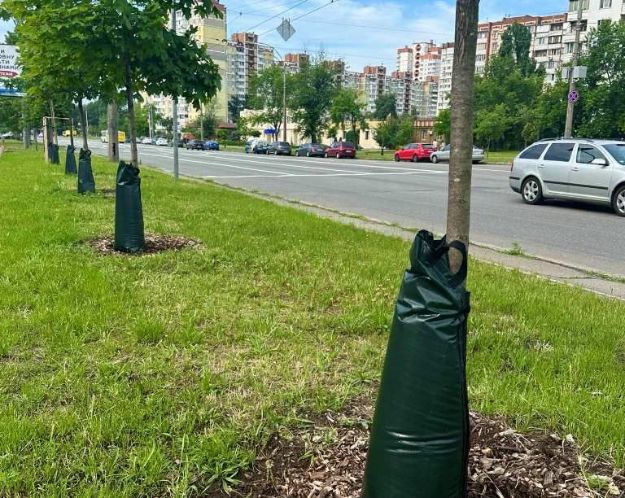 На Троещине в Киеве украли мешки для полива деревьев