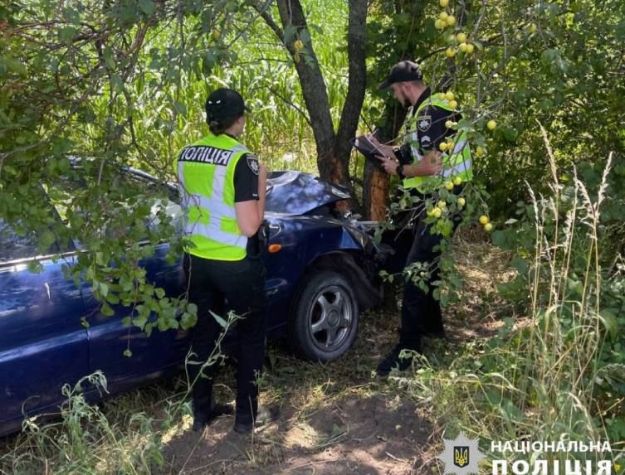 Стало плохо за рулем: в ДТП на Киевщине водитель погиб, врезавшись в дерево
