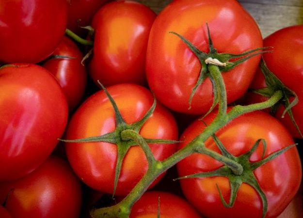 Через спеку у Києві заборонили продавати на ярмарках популярні продукти