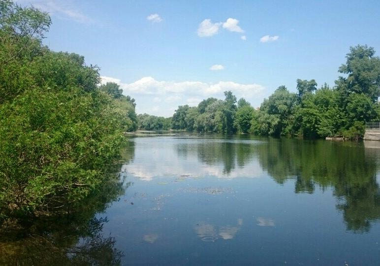 Озеро на Осокорках забруднили відходами