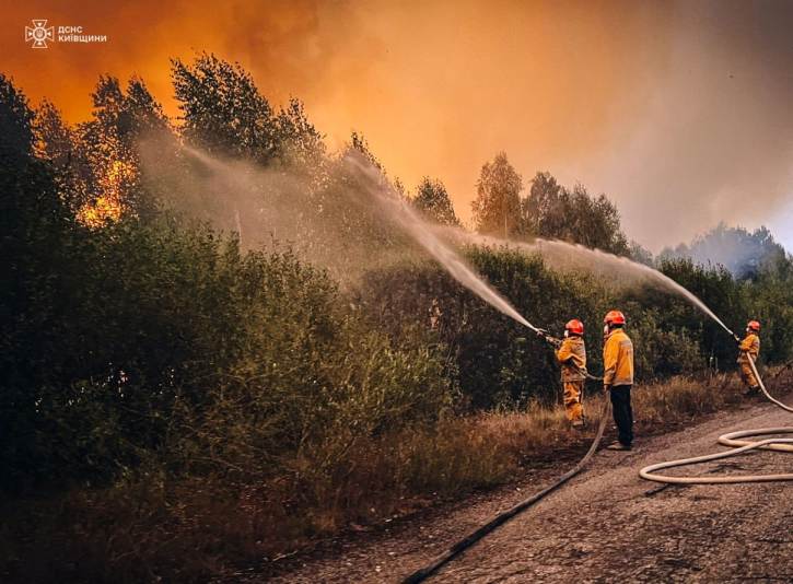 пожежа у зоні відчуждення