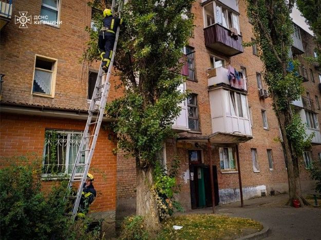 На Київщині надзвичайникам довелося лізти на дерево, щоб врятувати кота