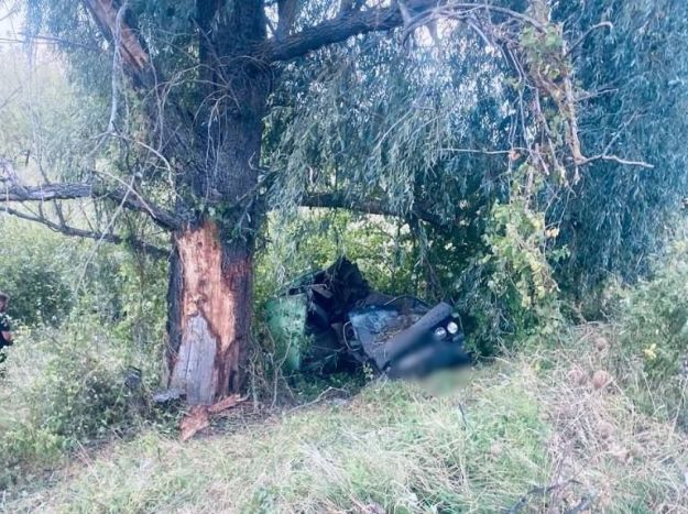 На Київщині легковик на швидкості влетів у дерево: автівка розбита вщент, водій у реанімації