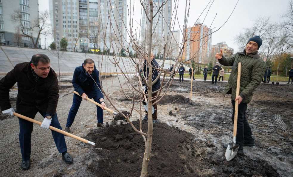 В столичном парке «Наталка» при поддержке посольства Азербайдажана высадили ликвидамбры и яблони