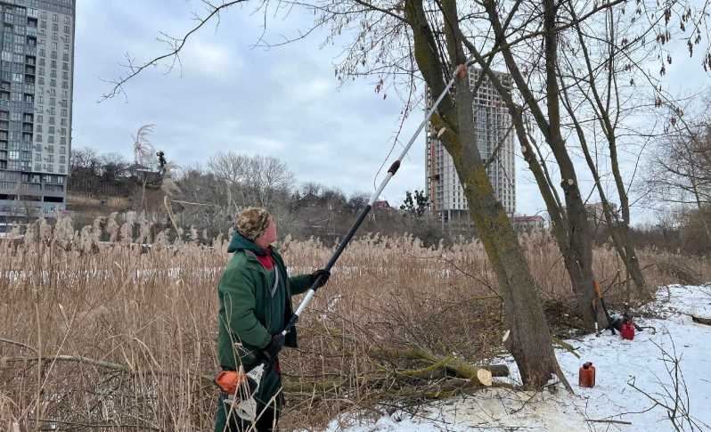 В парке возле Совских прудов осуществляют благоустройство территории