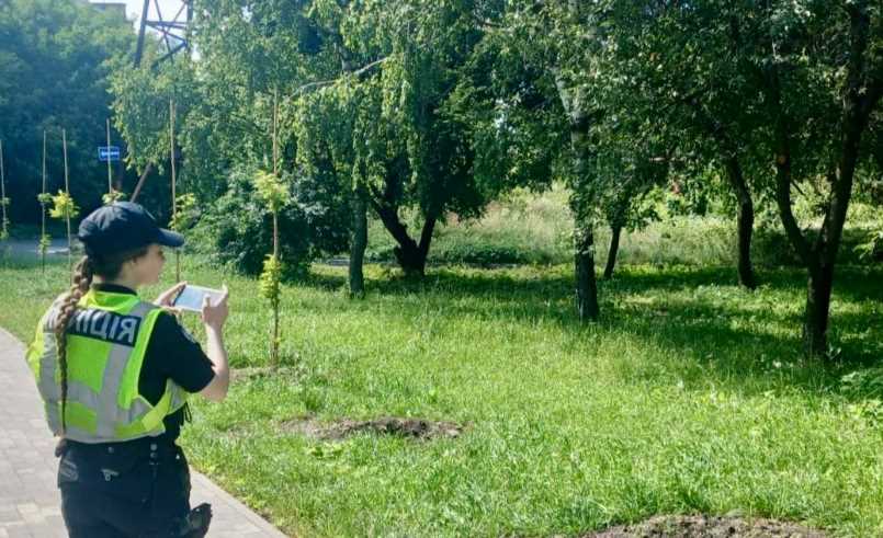 В сквере Киева похитили деревья, которые высадили в честь погибших журналистов