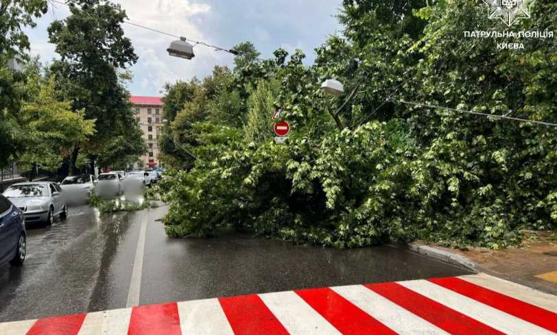 Из-за поваленных деревьев в столице затруднено движение транспорта