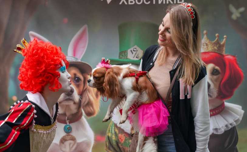 Київський парк перетворився на простір добра для песиків з фронтових територій