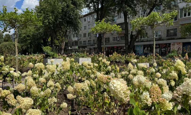 Замість кіосків у Подільському районі з’явився квітучий сквер