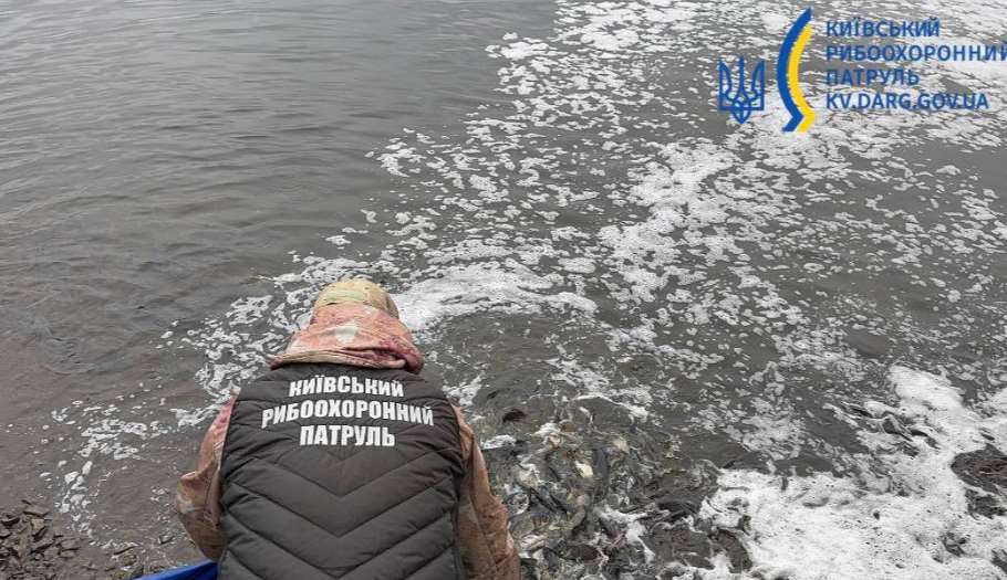 В Киевской области в водохранилище выпустили более 6500 рыбин