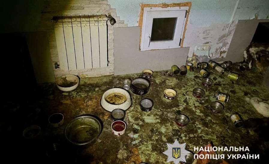 Женщине, которая привела к гибели 51 животного в Киевской области, сообщили о подозрении