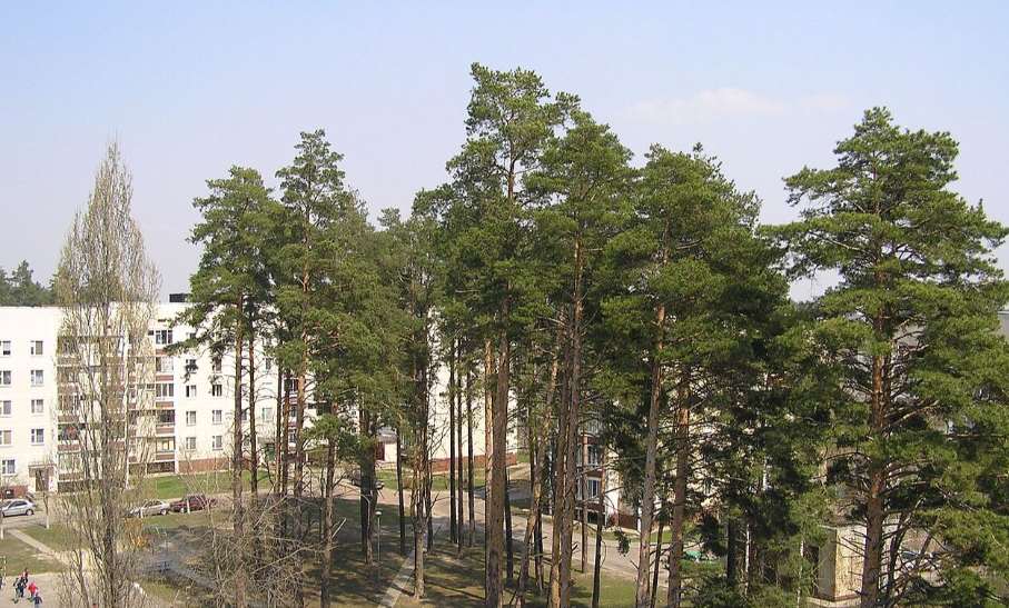 Місто Славутич на Київщині повністю знеструмлене через російський обстріл, — Укренерго