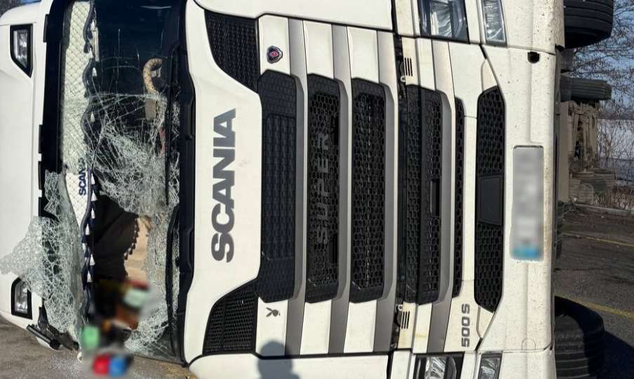 В Киевской области на Одесской трассе перевернулась фура со свиньями: движение затруднено