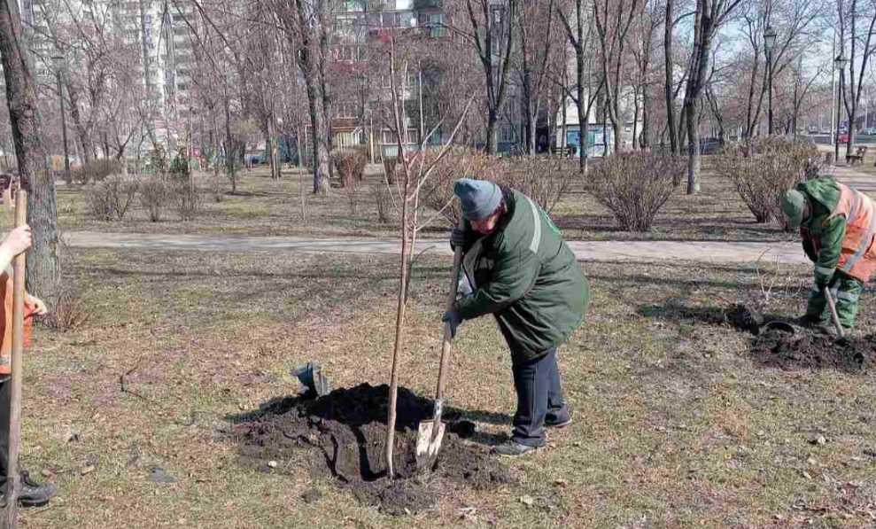 В Днепровском и Деснянском районах Киева высадили более 100 деревьев
